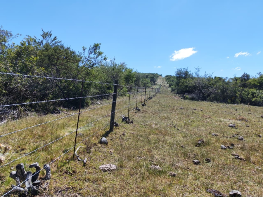 Commercial Property for Sale in Komga Rural Eastern Cape